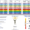 Choice Point & Attention Guide: Words to Choose from During Each Choice Point.
