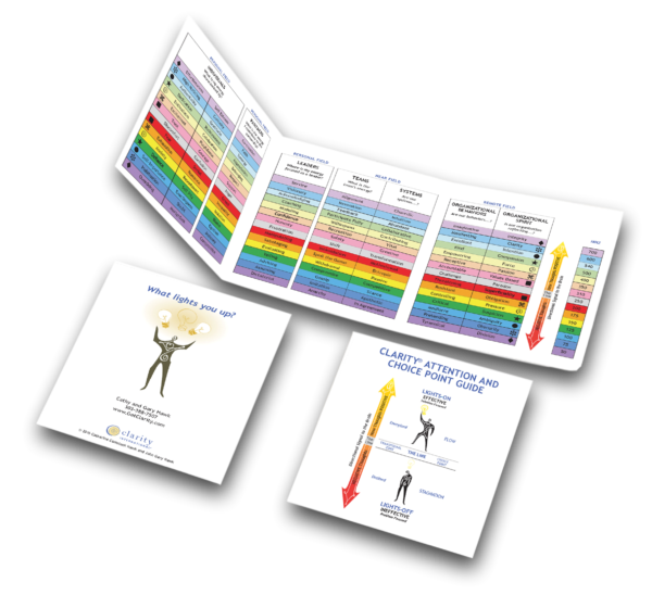 Clarity Attention and Choice Point Guide, Full color pdf.